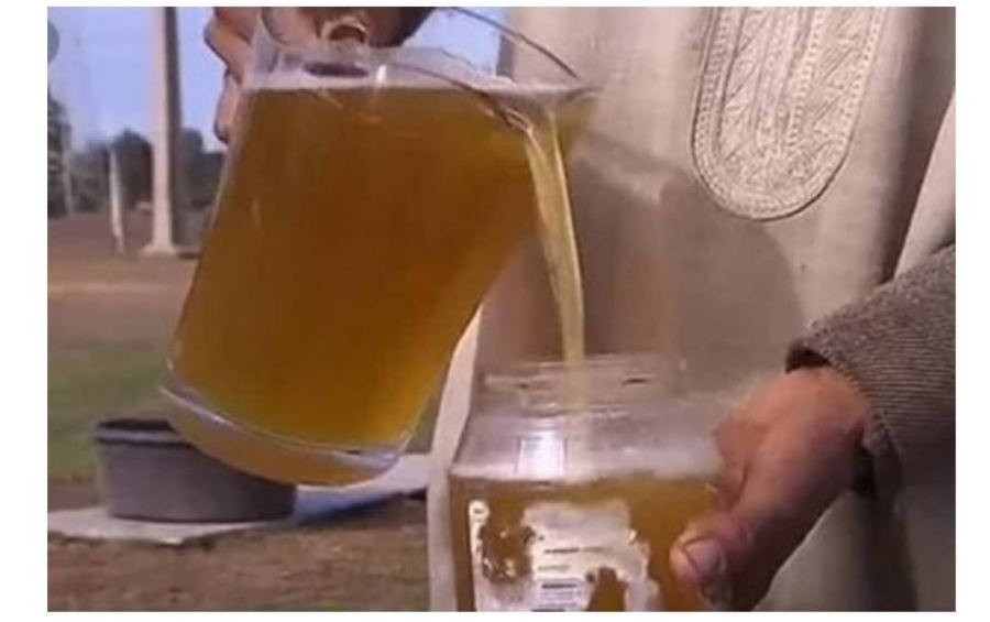 أول مقهى لبول الإبل الطازج في السعودية